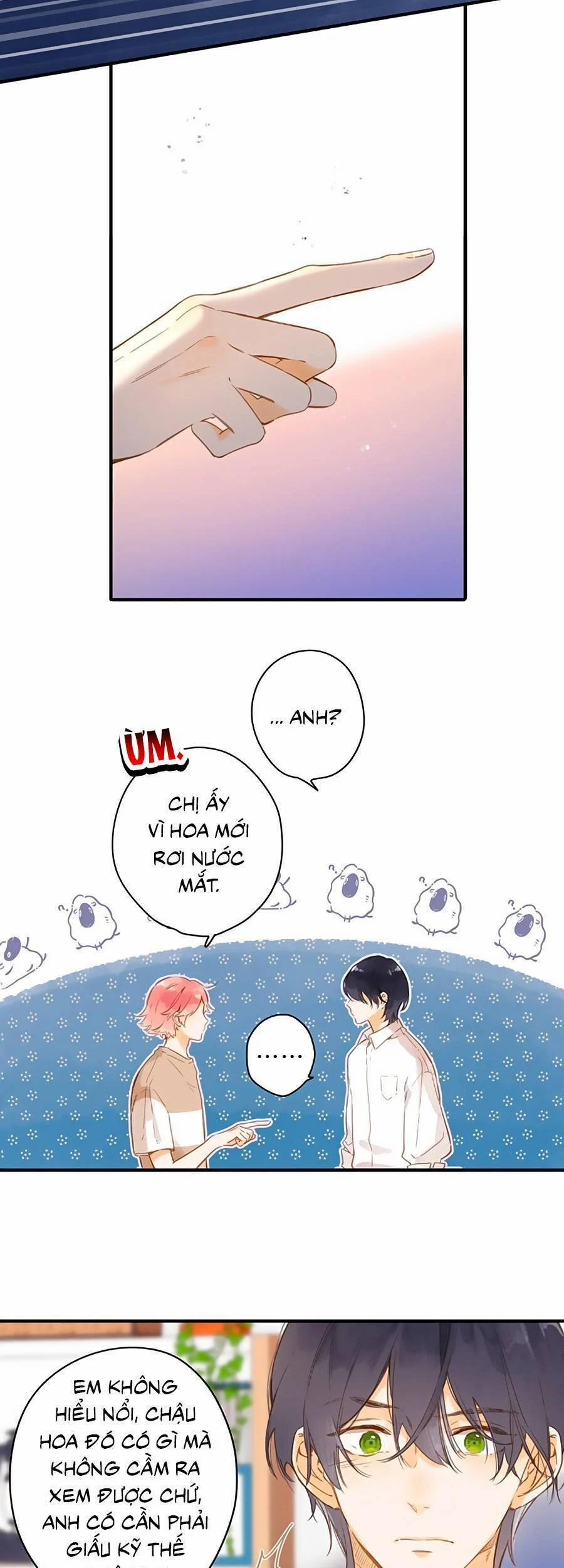 Ngôi Nhà Hướng Dương 36 trang 13