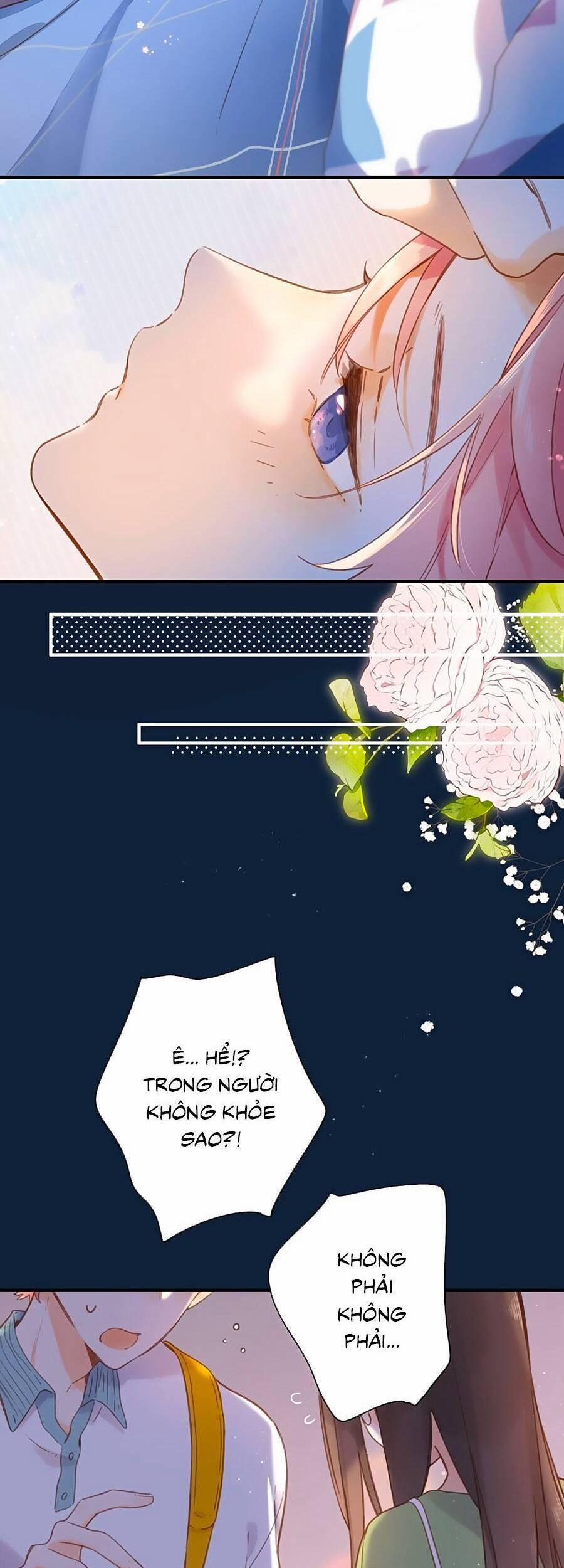 Ngôi Nhà Hướng Dương 36 trang 2