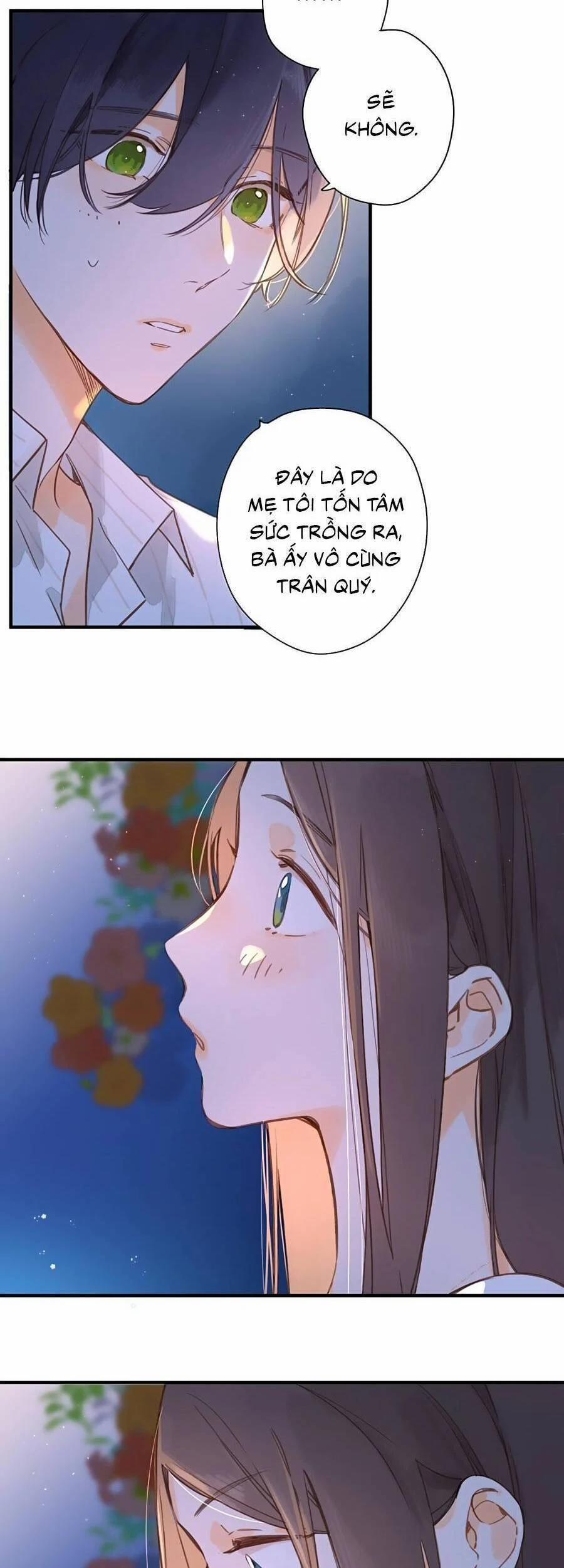 Ngôi Nhà Hướng Dương 37 trang 14