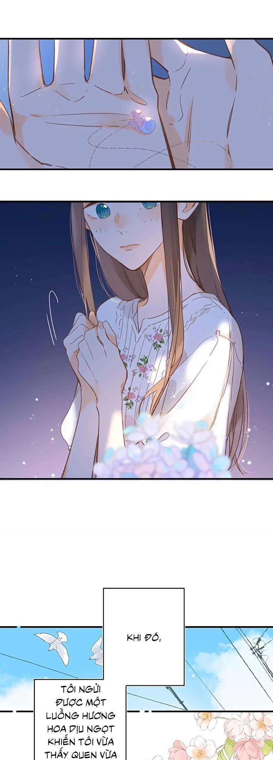 Ngôi Nhà Hướng Dương 37 trang 19