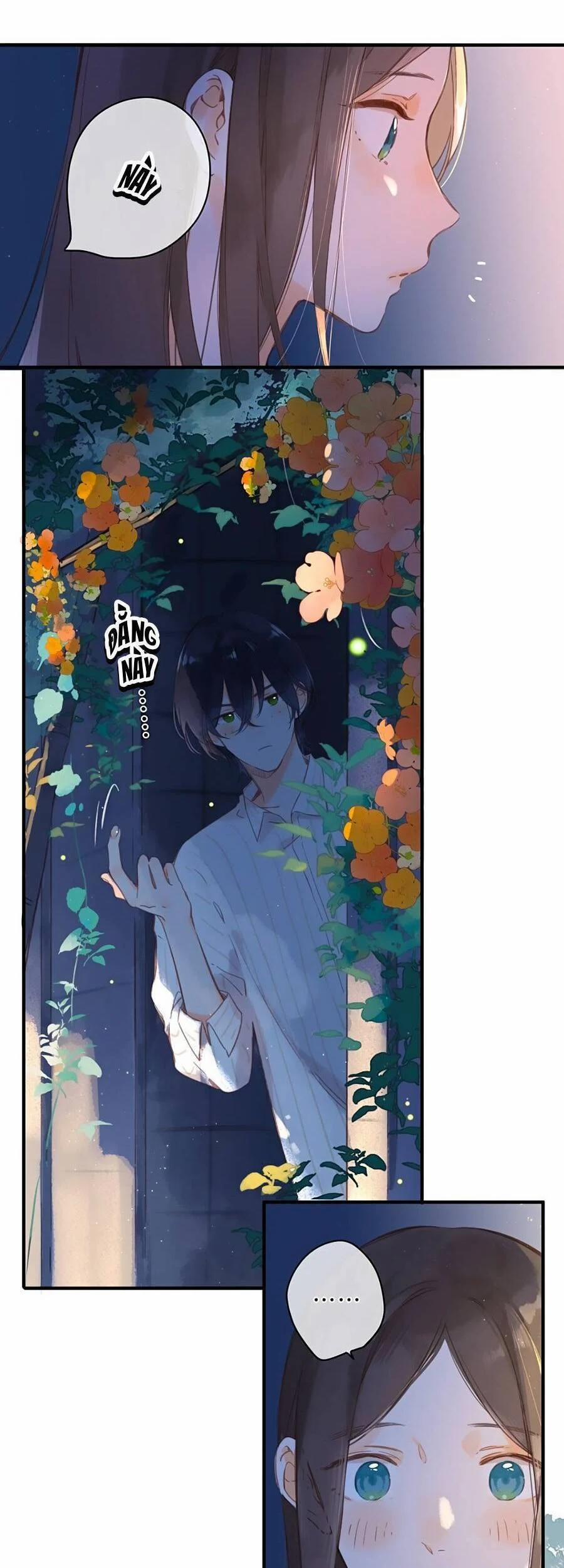 Ngôi Nhà Hướng Dương 37 trang 2