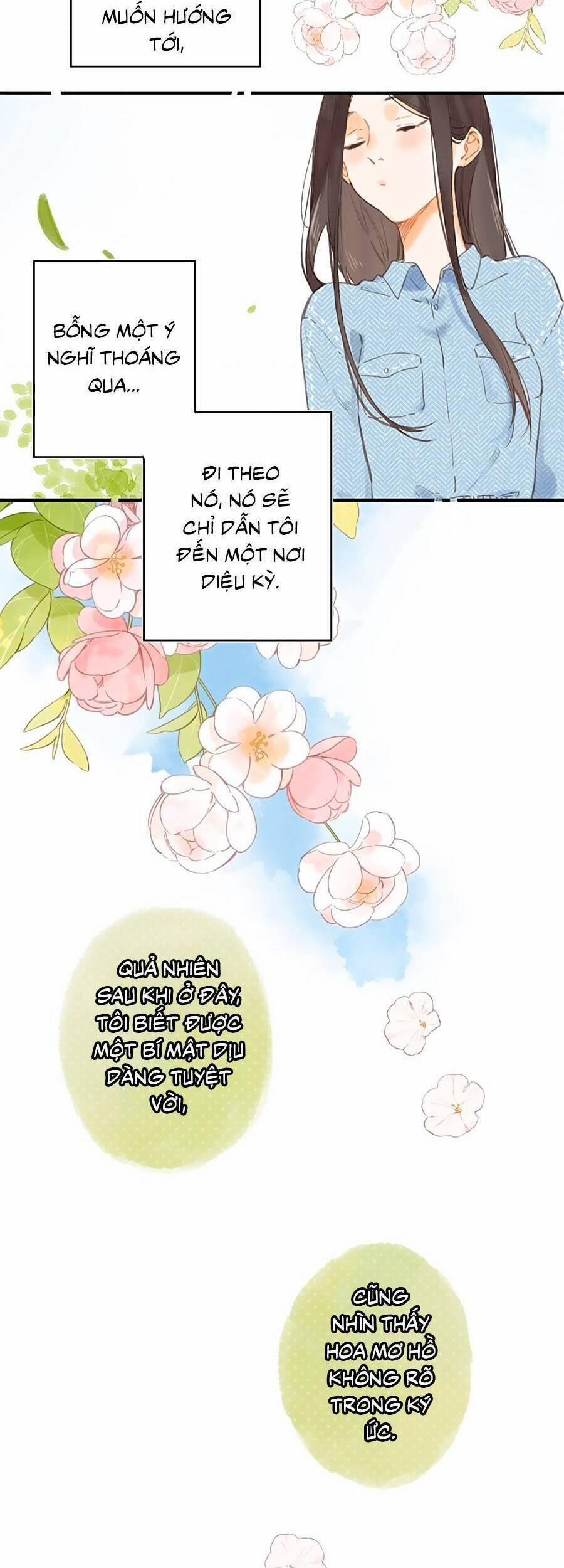 Ngôi Nhà Hướng Dương 37 trang 20