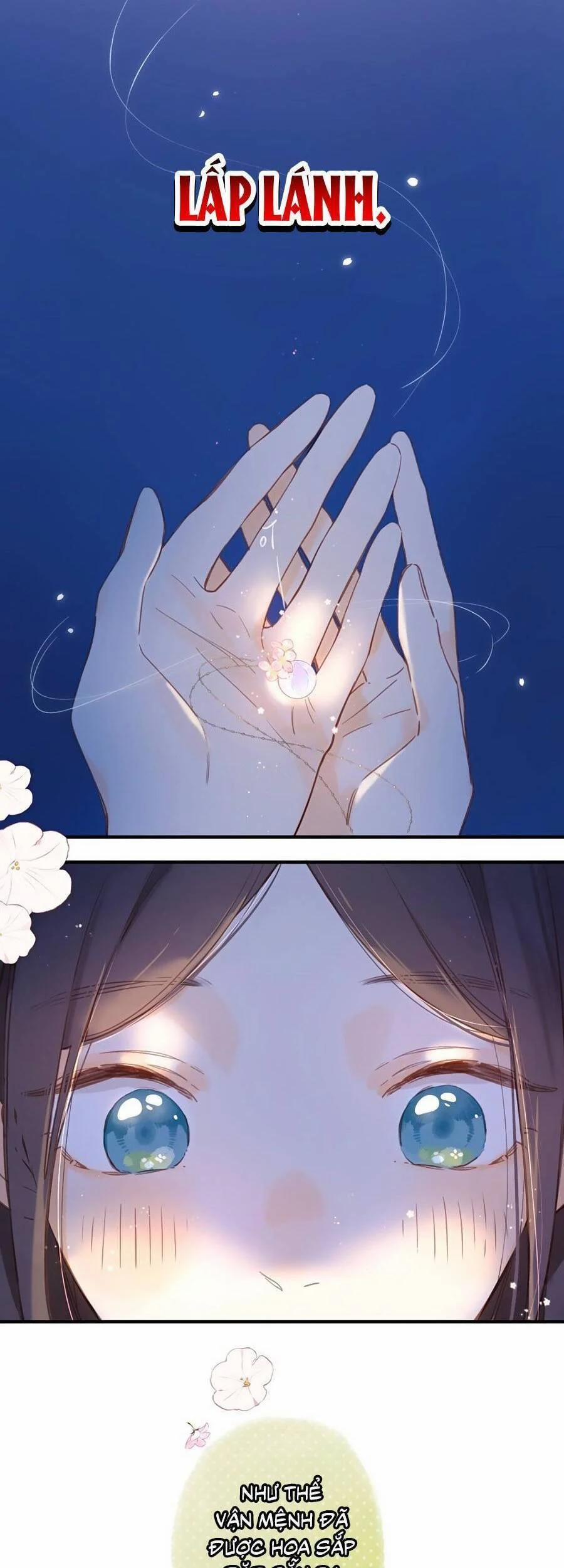 Ngôi Nhà Hướng Dương 37 trang 22