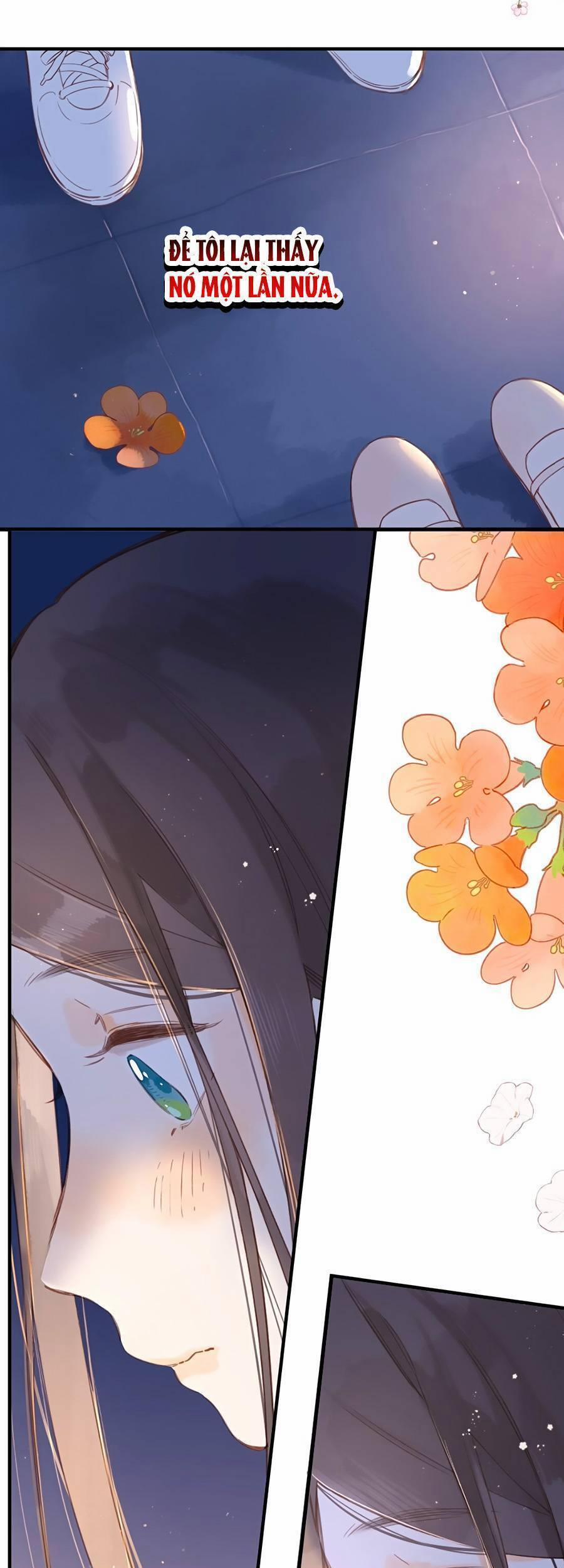 Ngôi Nhà Hướng Dương 37 trang 24