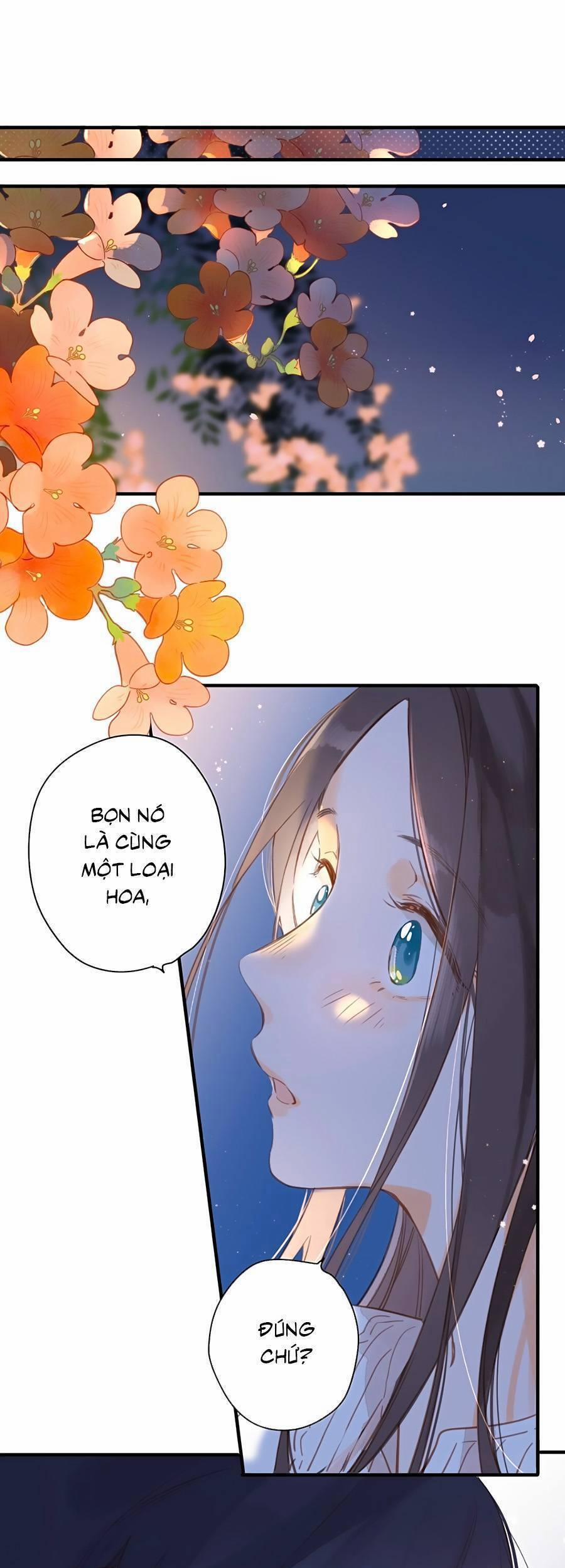 Ngôi Nhà Hướng Dương 37 trang 27