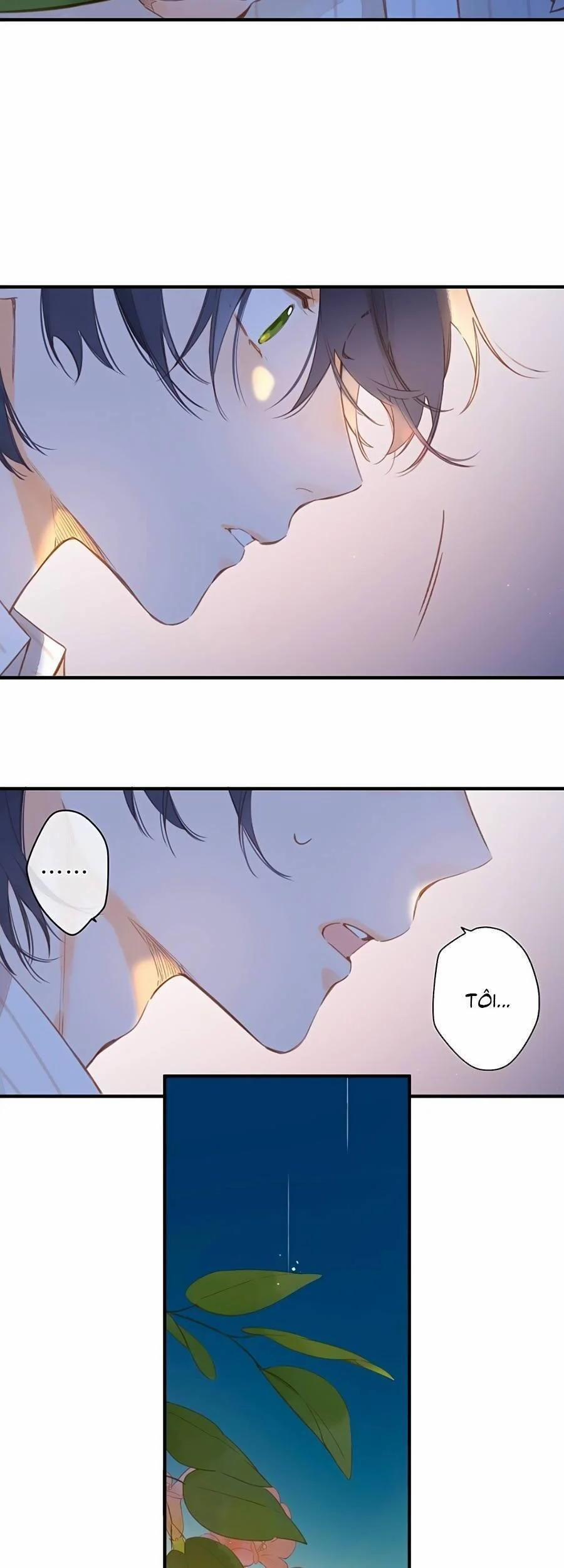 Ngôi Nhà Hướng Dương 37 trang 29