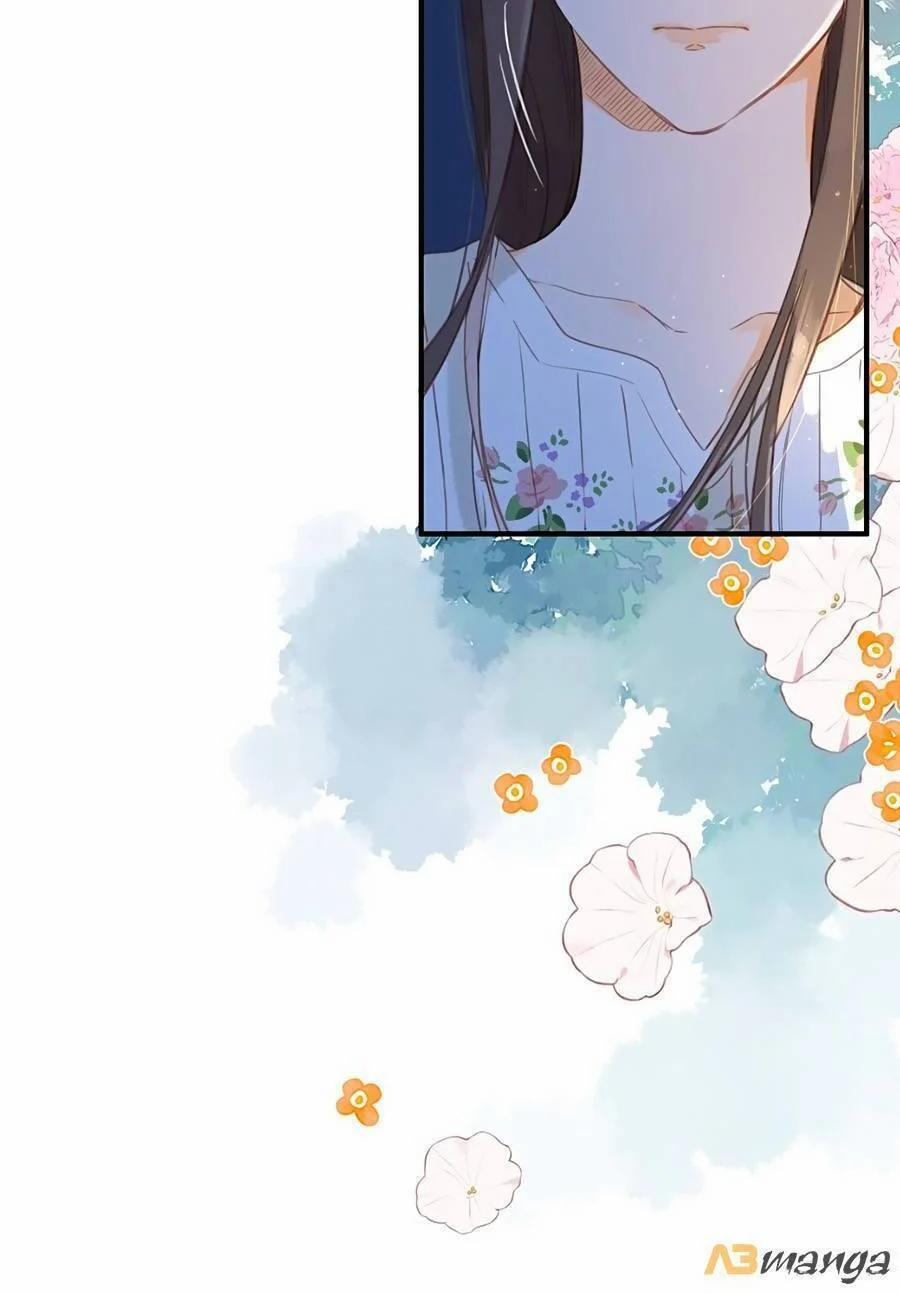 Ngôi Nhà Hướng Dương 37 trang 3