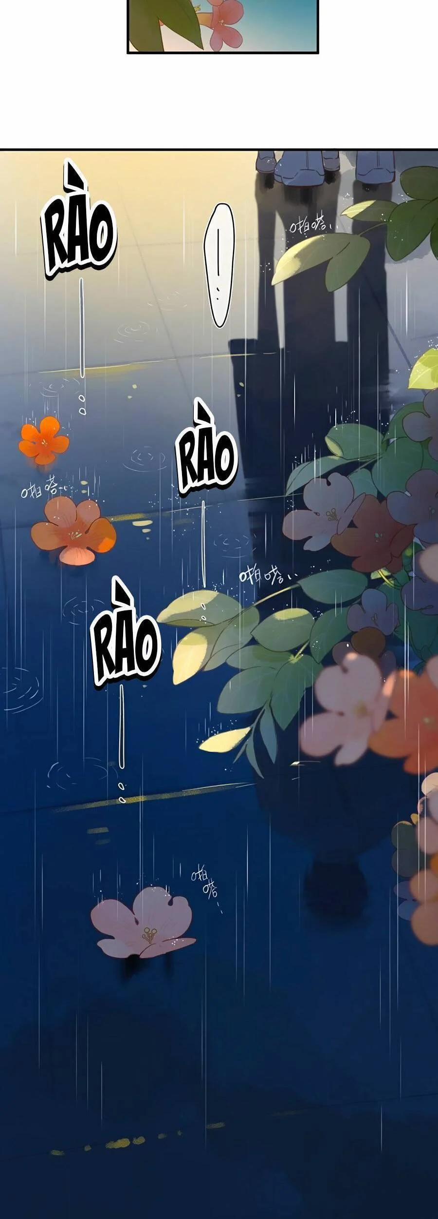 Ngôi Nhà Hướng Dương 37 trang 30