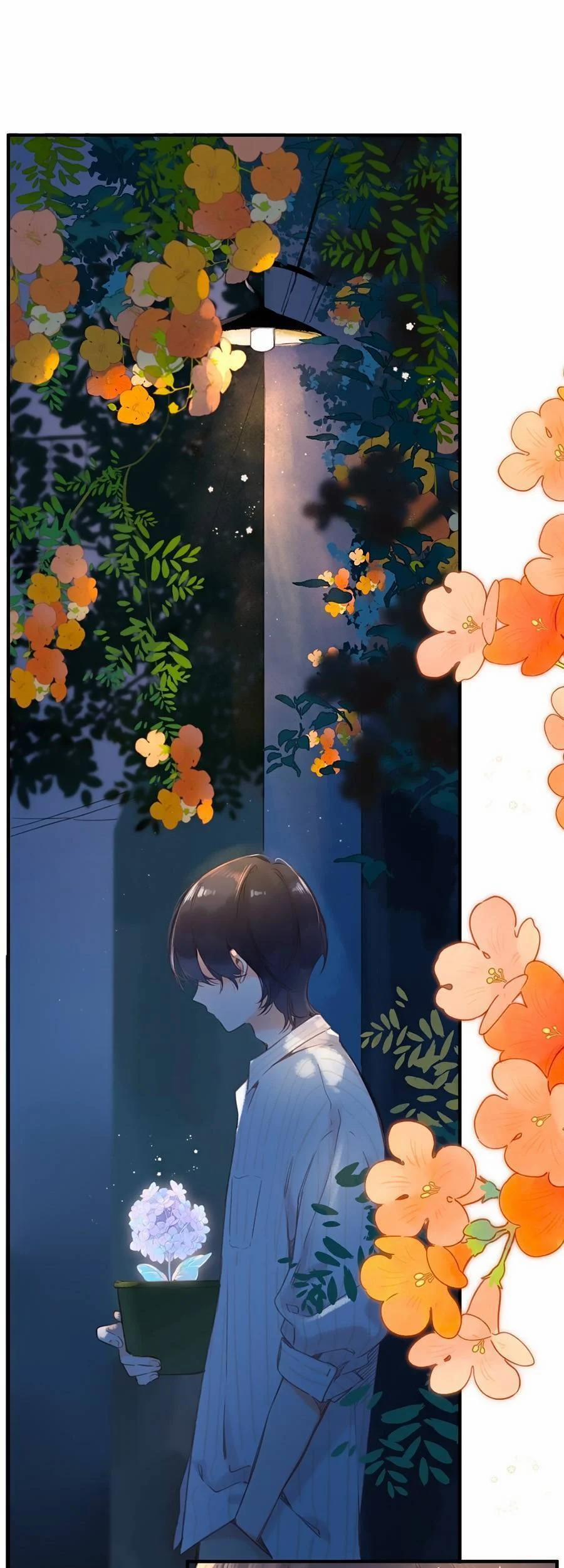 Ngôi Nhà Hướng Dương 37 trang 4