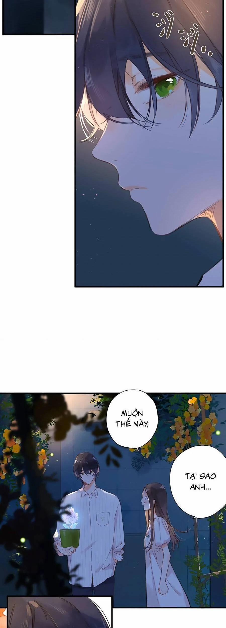 Ngôi Nhà Hướng Dương 37 trang 5