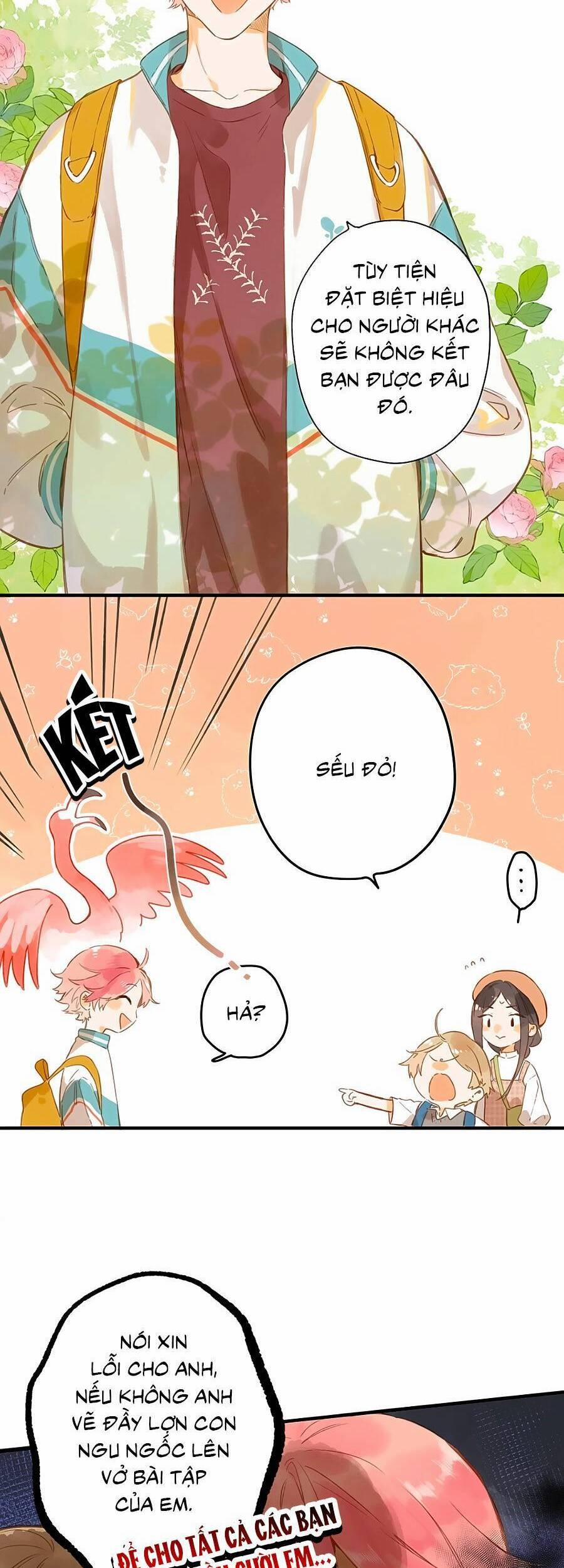 Ngôi Nhà Hướng Dương 39 trang 8