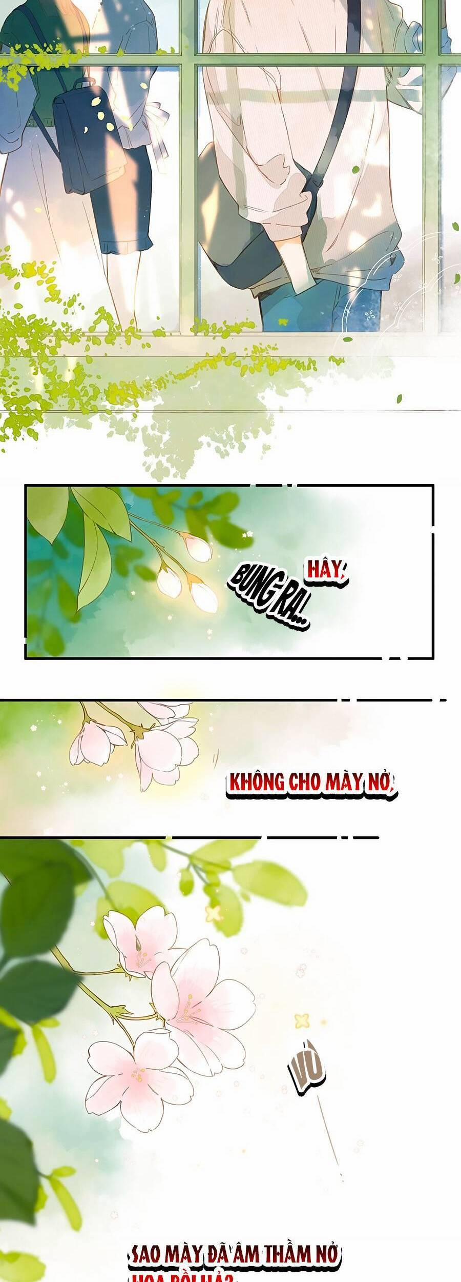 Ngôi Nhà Hướng Dương 40 trang 22