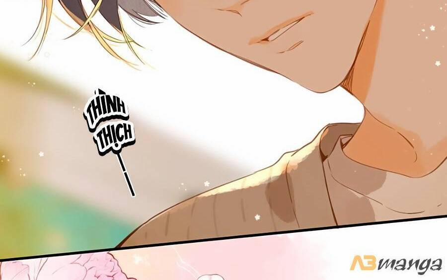 Ngôi Nhà Hướng Dương 41 trang 16