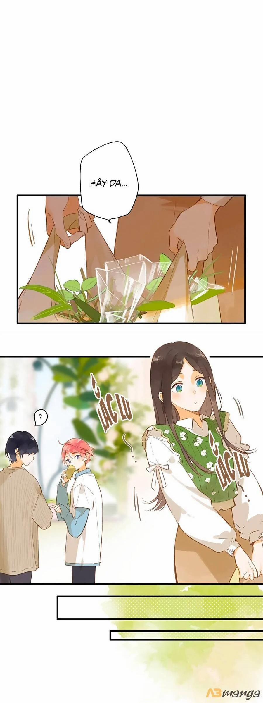 Ngôi Nhà Hướng Dương 41 trang 22