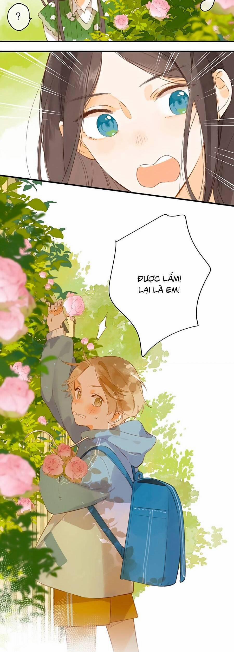 Ngôi Nhà Hướng Dương 41 trang 24