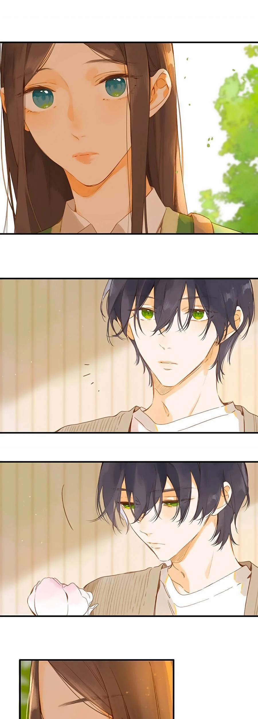 Ngôi Nhà Hướng Dương 41 trang 4