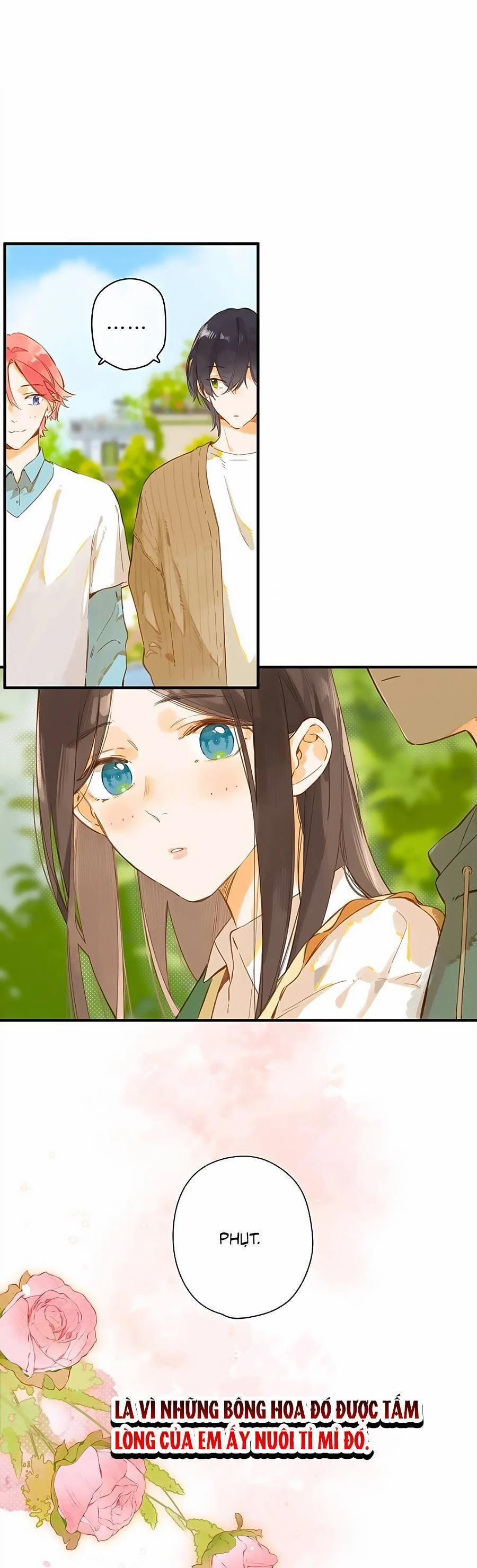 Ngôi Nhà Hướng Dương 42 trang 13