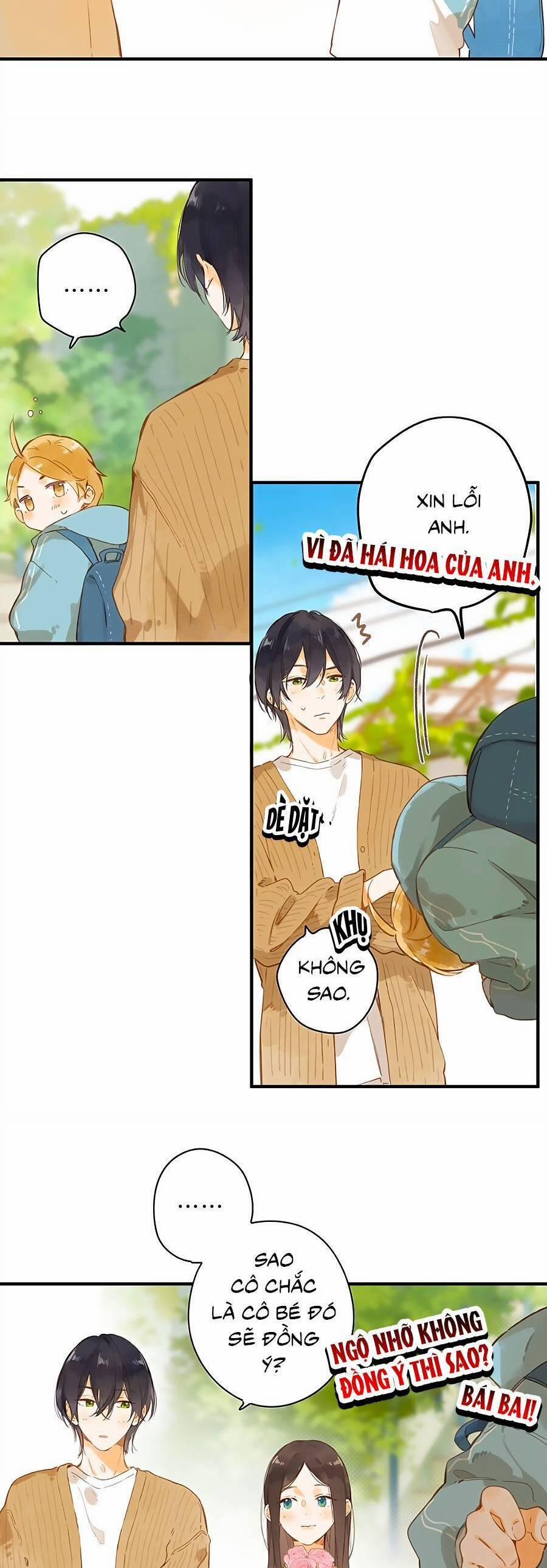 Ngôi Nhà Hướng Dương 43 trang 11