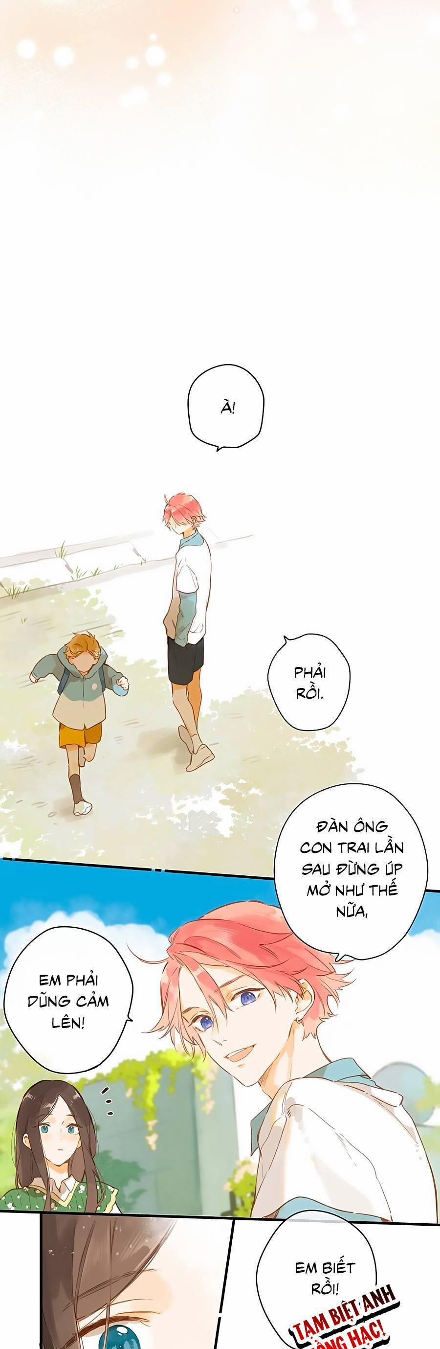 Ngôi Nhà Hướng Dương 43 trang 13