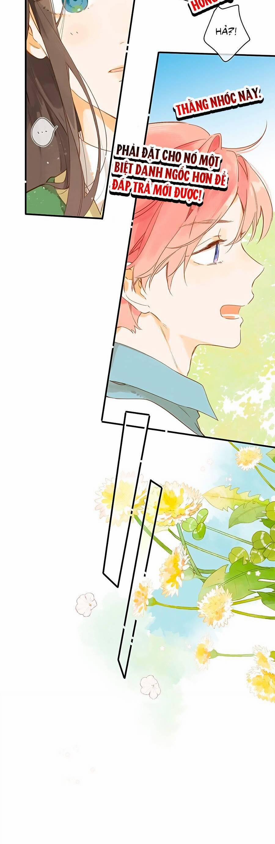 Ngôi Nhà Hướng Dương 43 trang 14