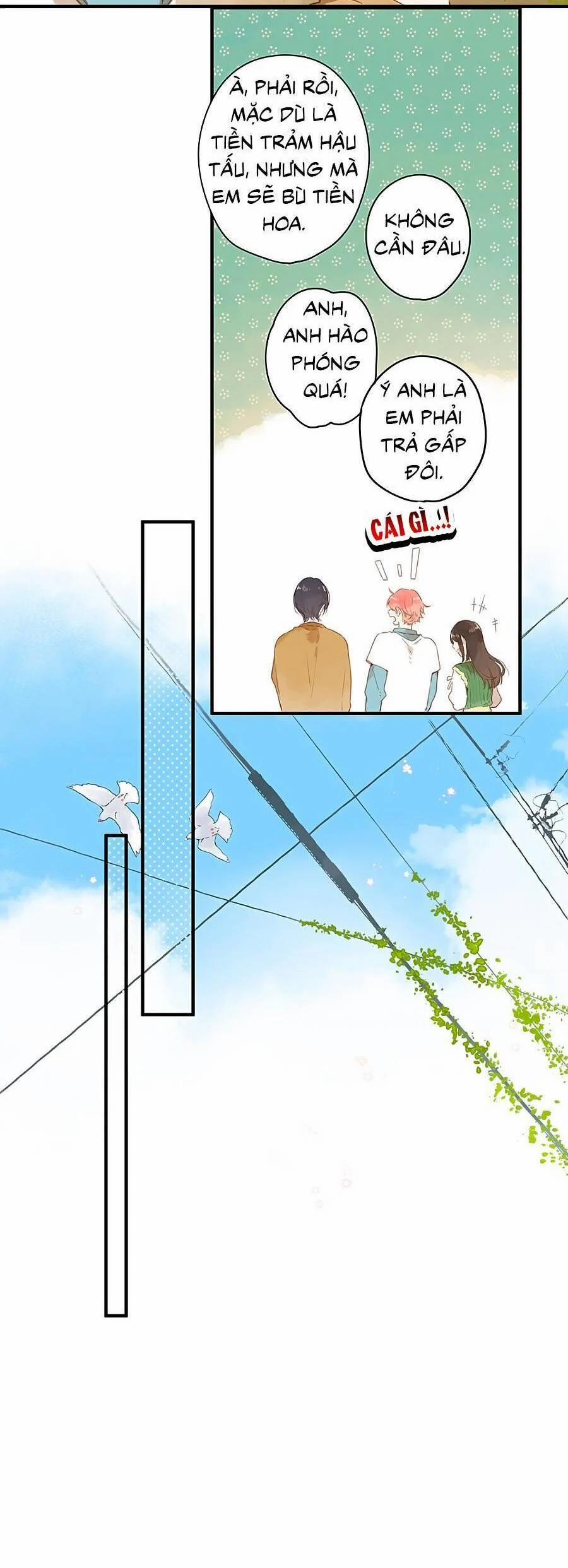 Ngôi Nhà Hướng Dương 43 trang 17