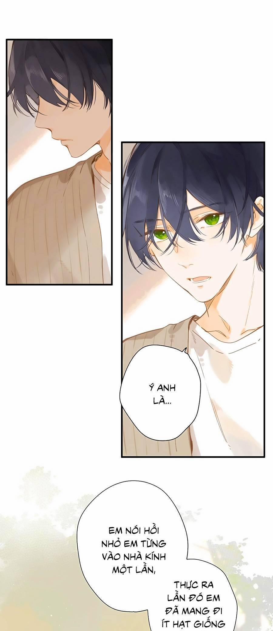 Ngôi Nhà Hướng Dương 44 trang 5