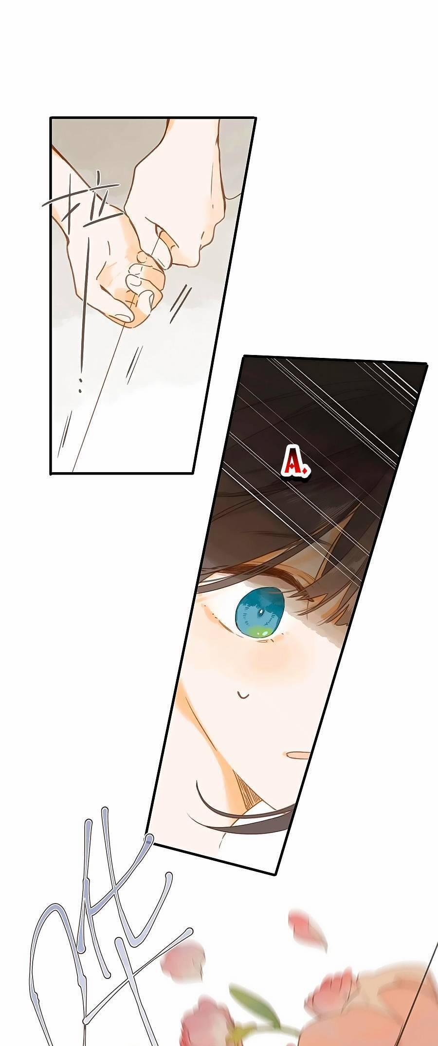 Ngôi Nhà Hướng Dương 45 trang 12