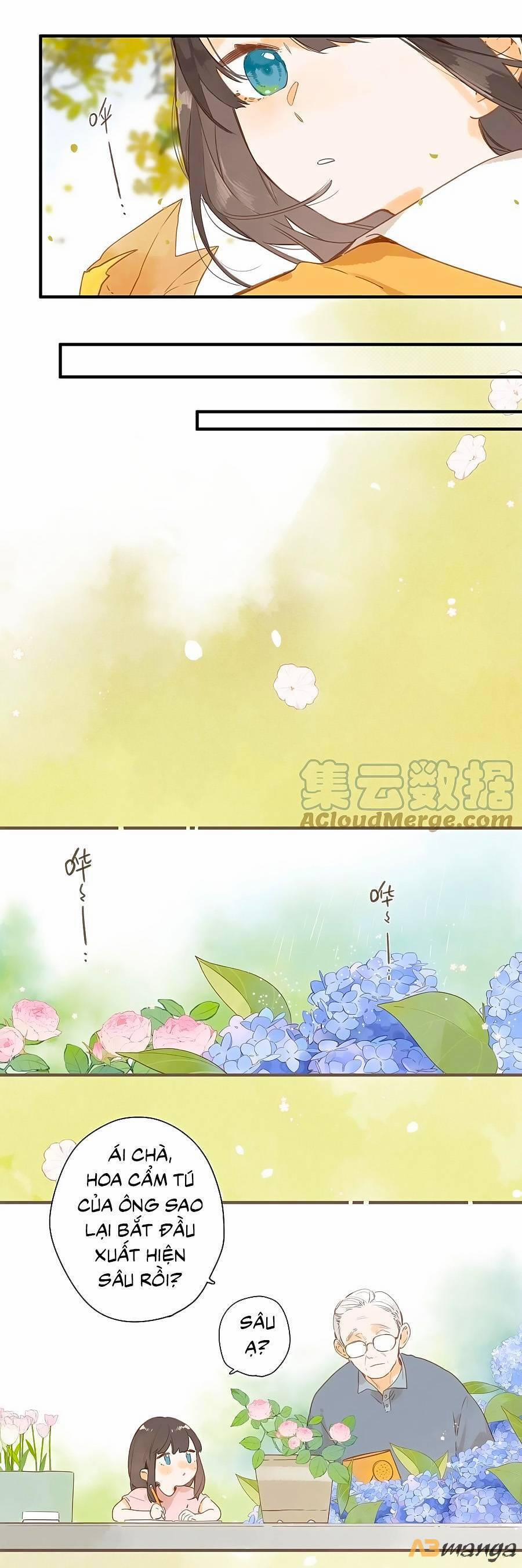 Ngôi Nhà Hướng Dương 45 trang 6