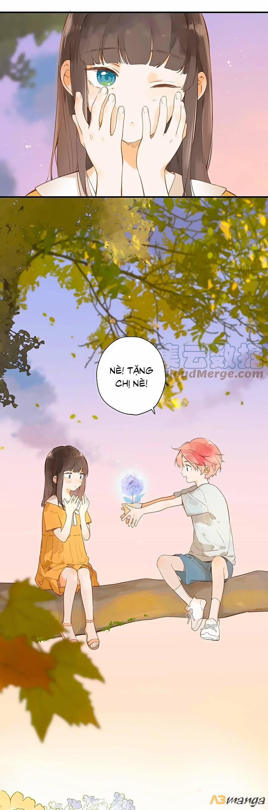 Ngôi Nhà Hướng Dương 46 trang 10