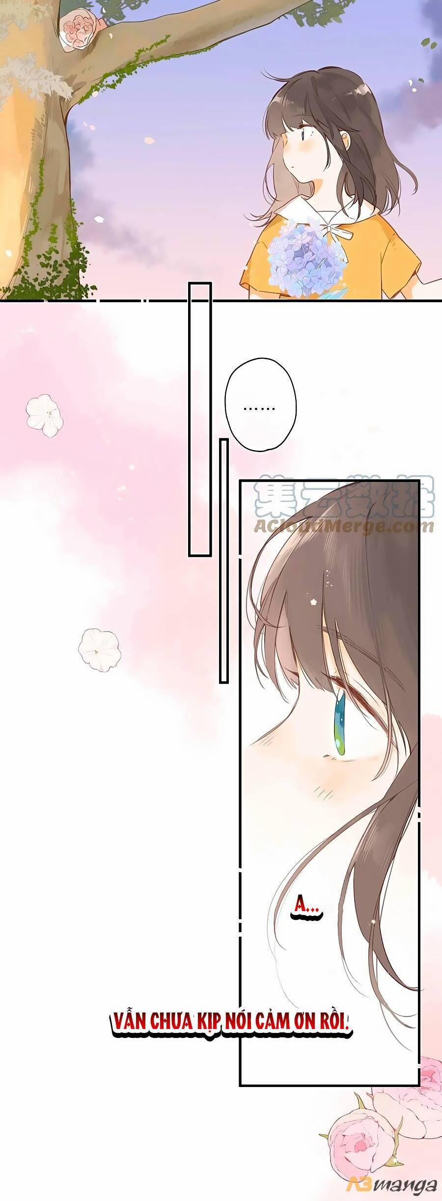 Ngôi Nhà Hướng Dương 46 trang 16