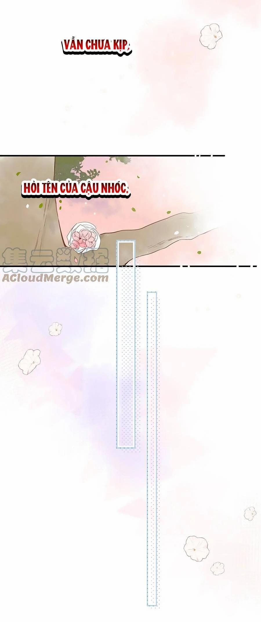 Ngôi Nhà Hướng Dương 46 trang 17