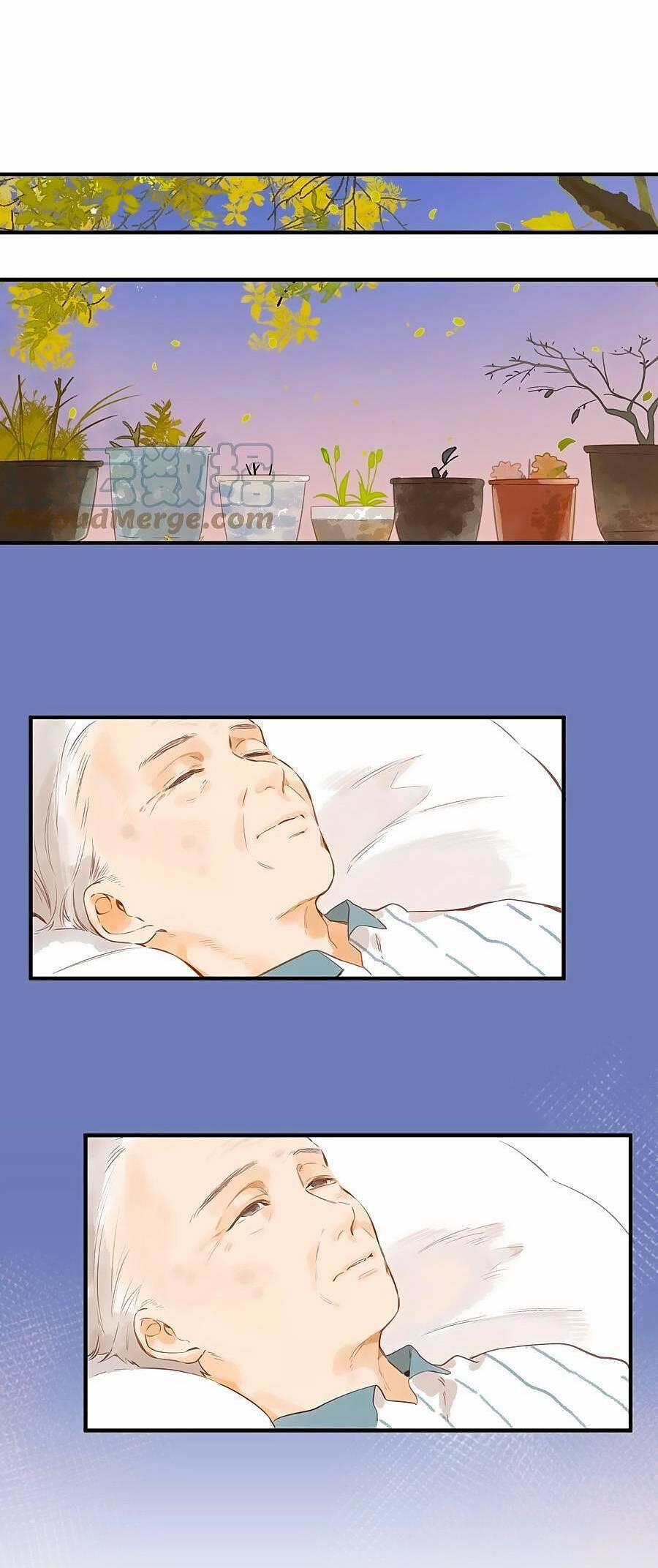 Ngôi Nhà Hướng Dương 46 trang 18