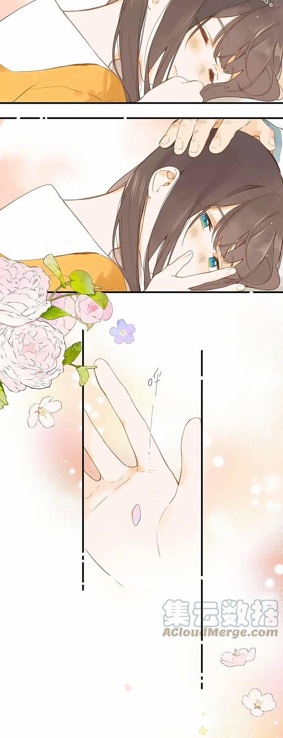 Ngôi Nhà Hướng Dương 46 trang 21