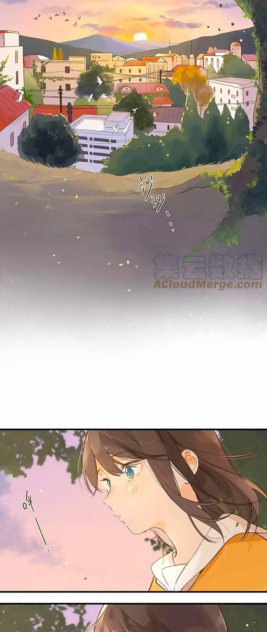 Ngôi Nhà Hướng Dương 46 trang 4