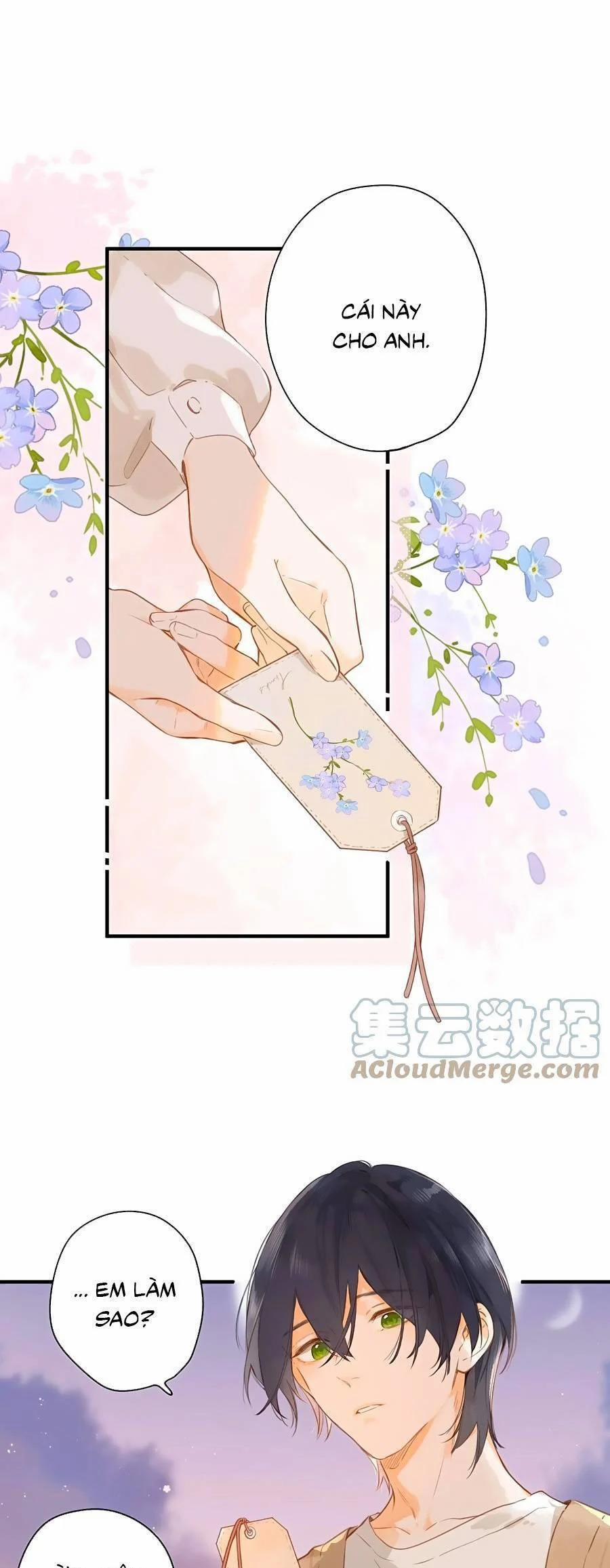 Ngôi Nhà Hướng Dương 47 trang 12