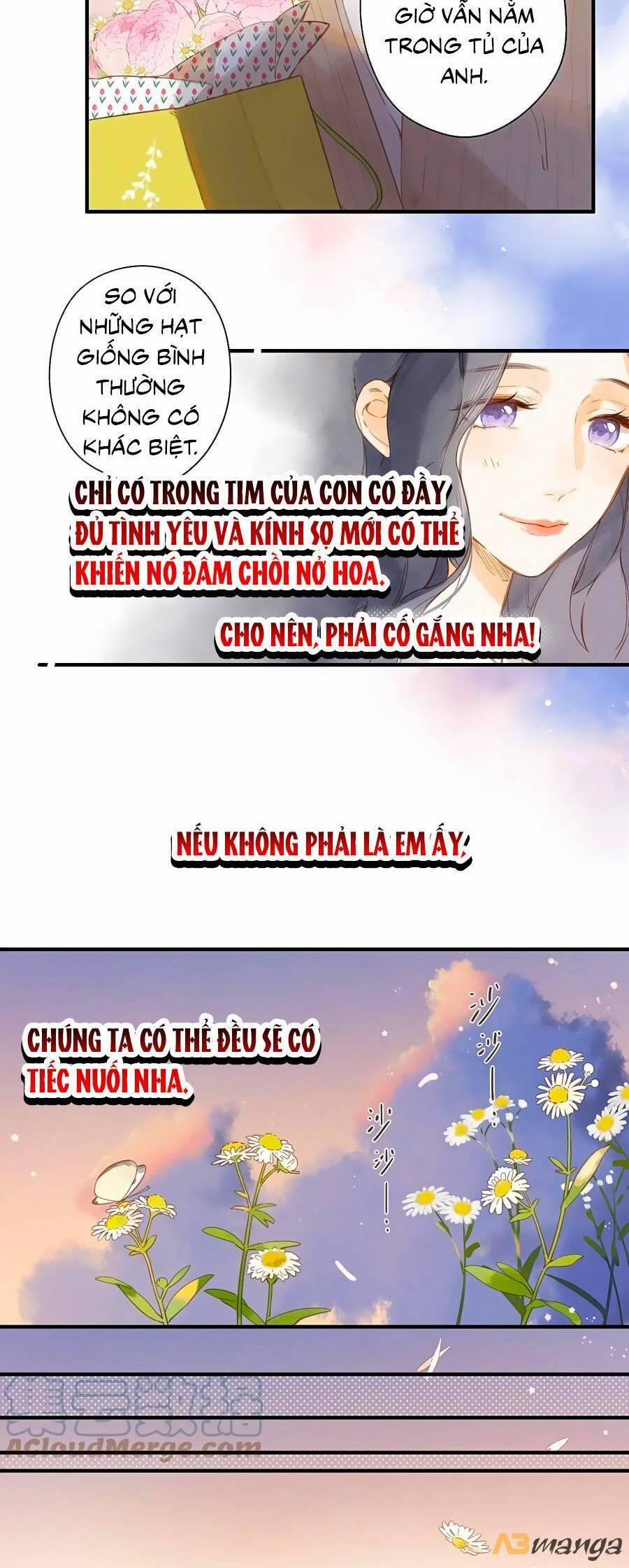 Ngôi Nhà Hướng Dương 47 trang 17