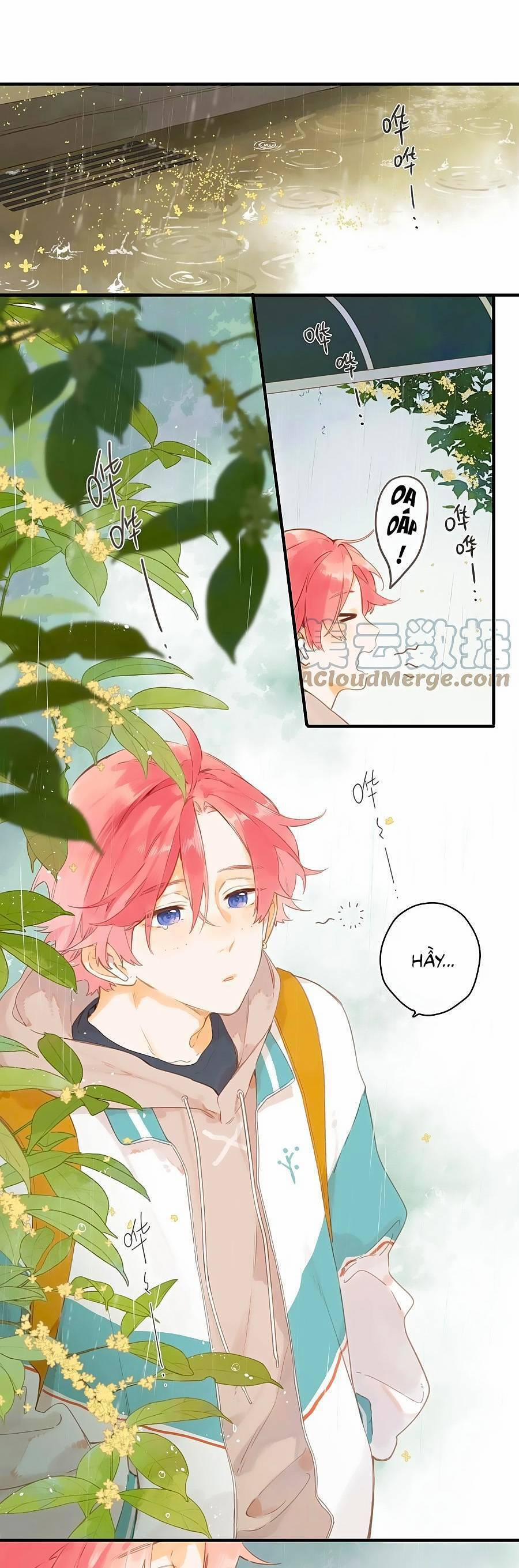 Ngôi Nhà Hướng Dương 48 trang 1