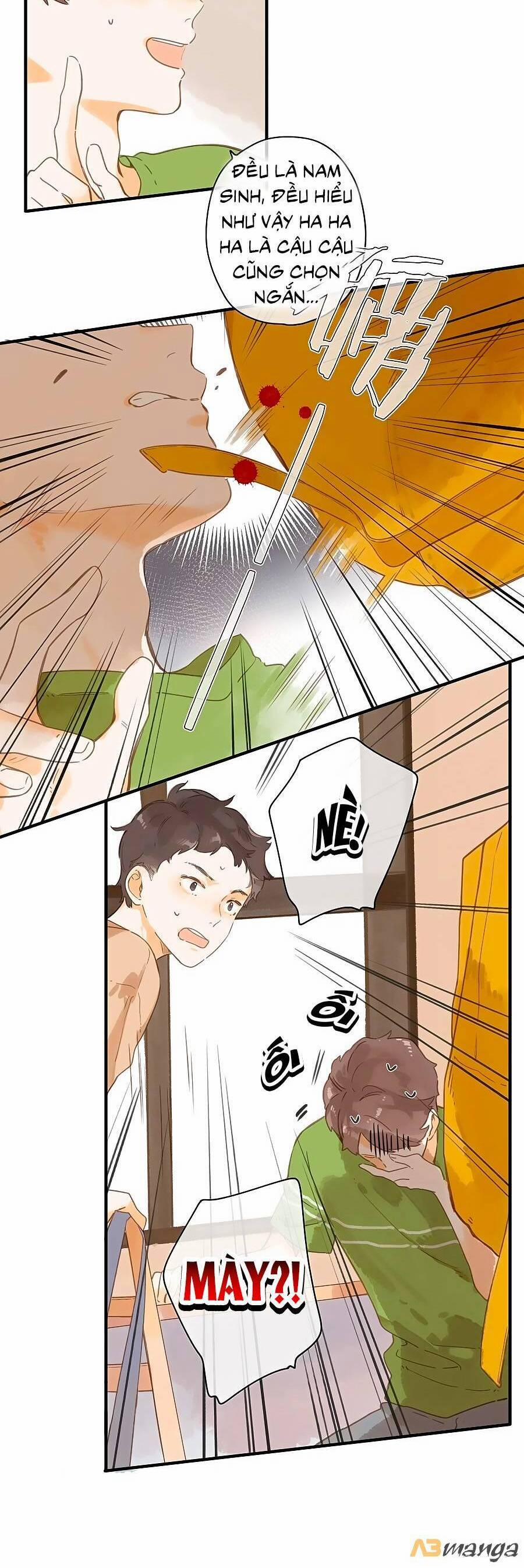 Ngôi Nhà Hướng Dương 49 trang 12