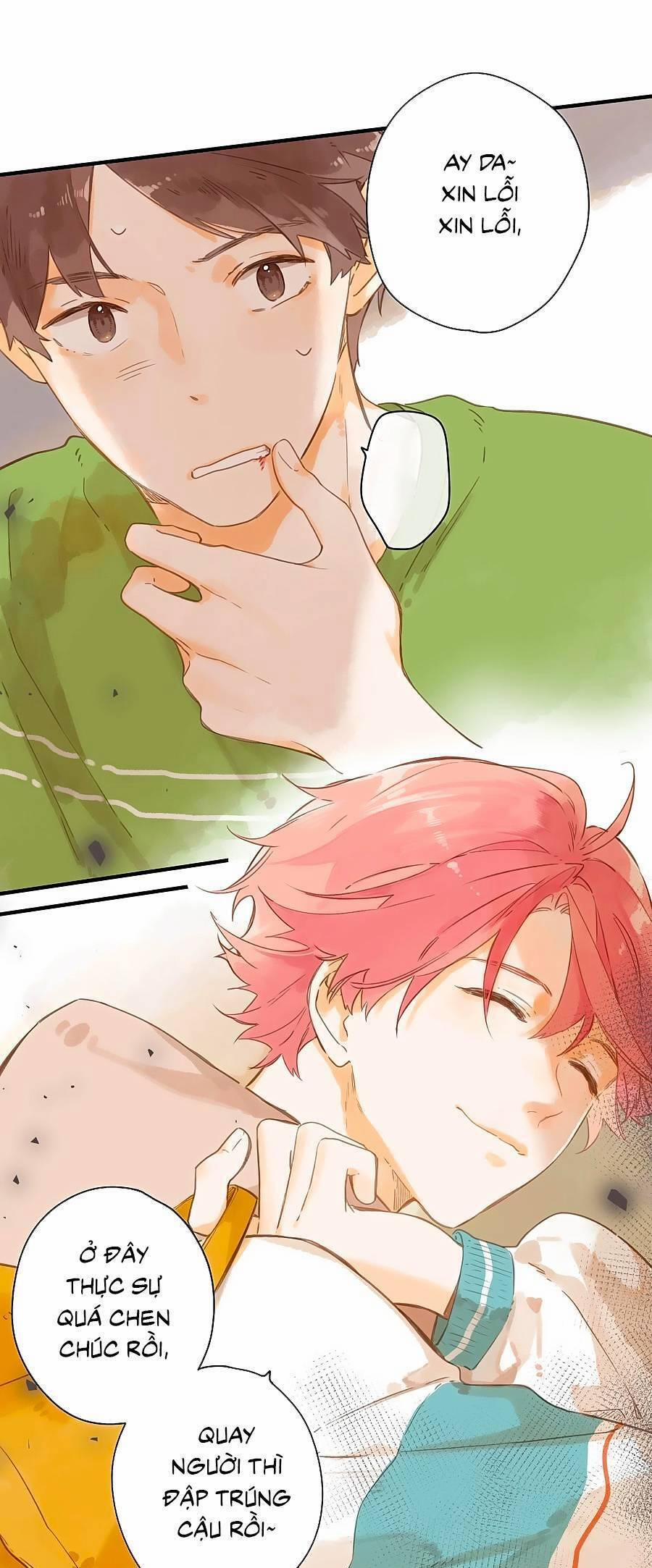 Ngôi Nhà Hướng Dương 49 trang 13