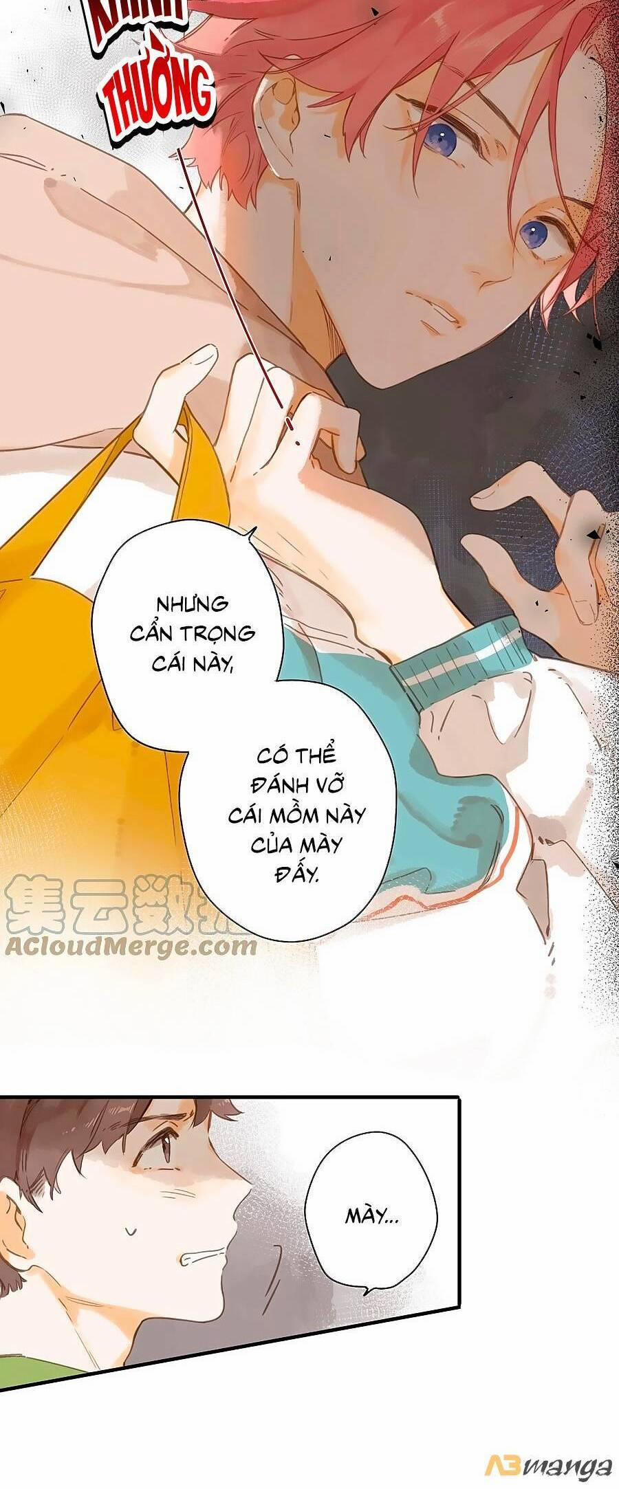 Ngôi Nhà Hướng Dương 49 trang 15