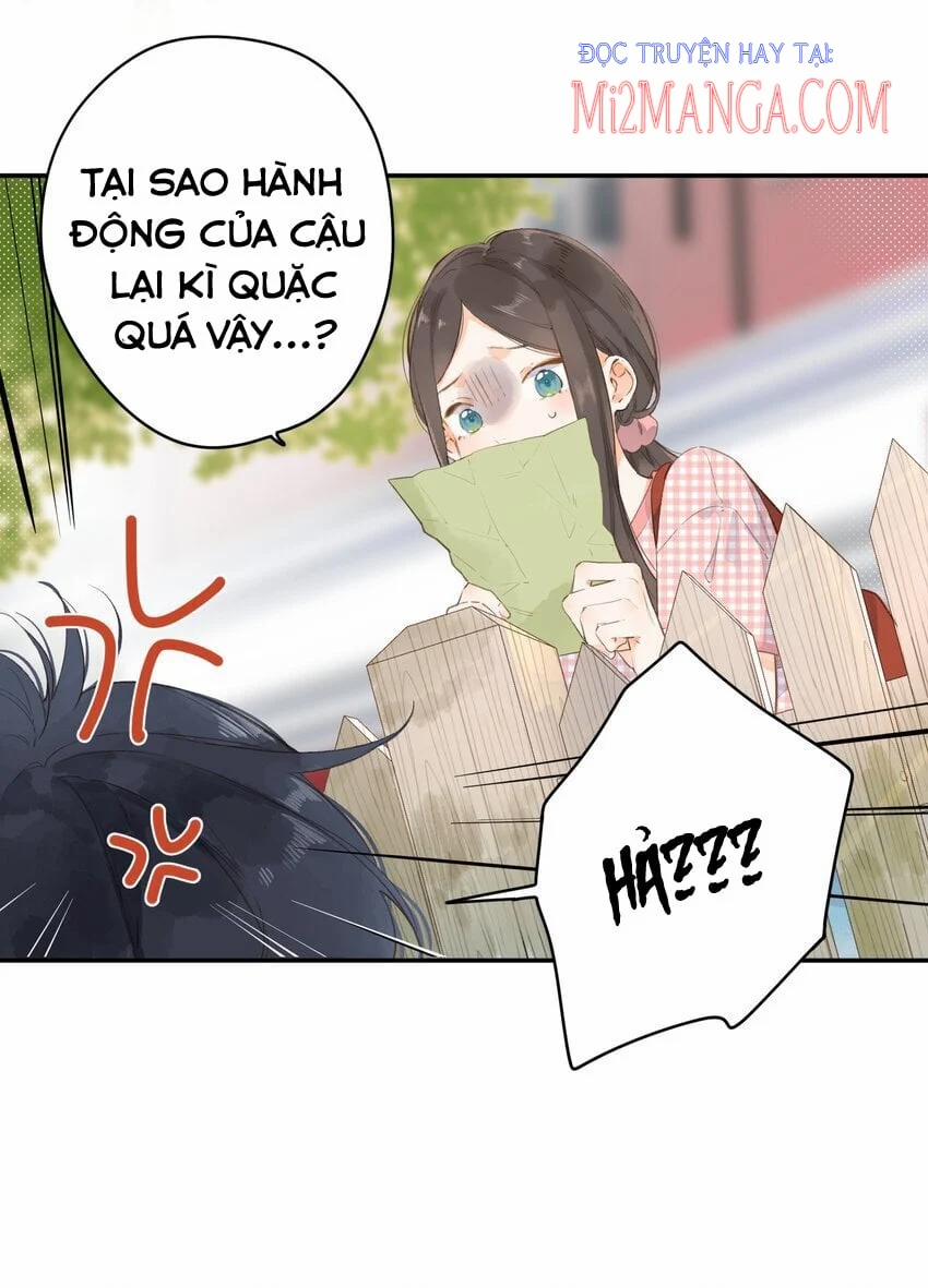 Ngôi Nhà Hướng Dương 5 trang 12