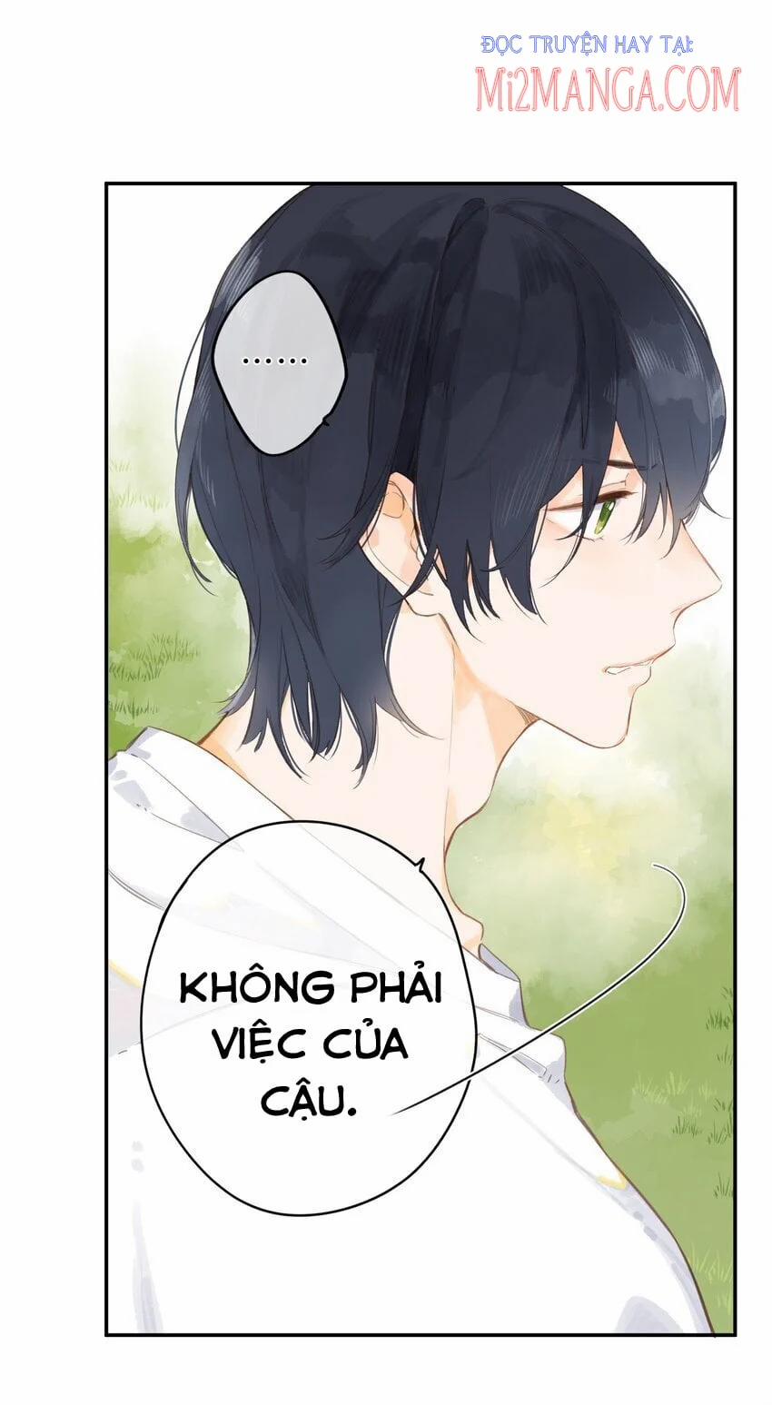 Ngôi Nhà Hướng Dương 5 trang 13