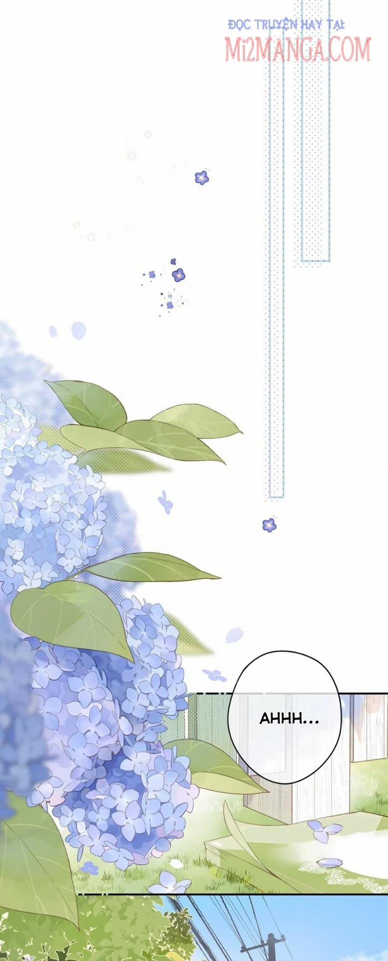 Ngôi Nhà Hướng Dương 5 trang 6