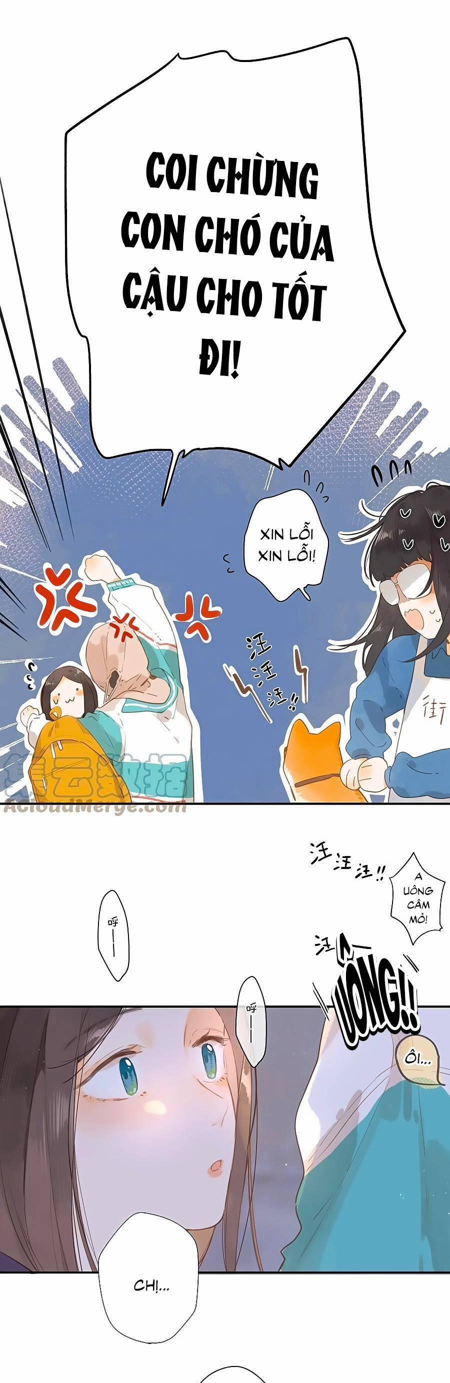 Ngôi Nhà Hướng Dương 51 trang 13