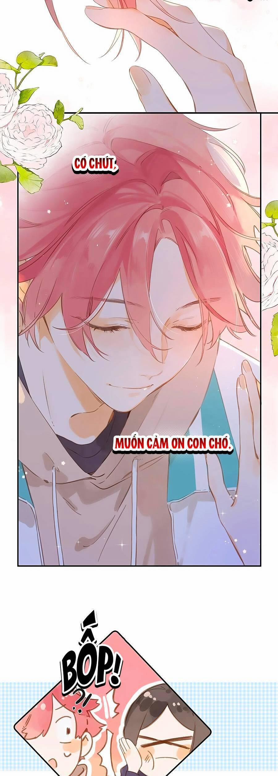 Ngôi Nhà Hướng Dương 51 trang 18