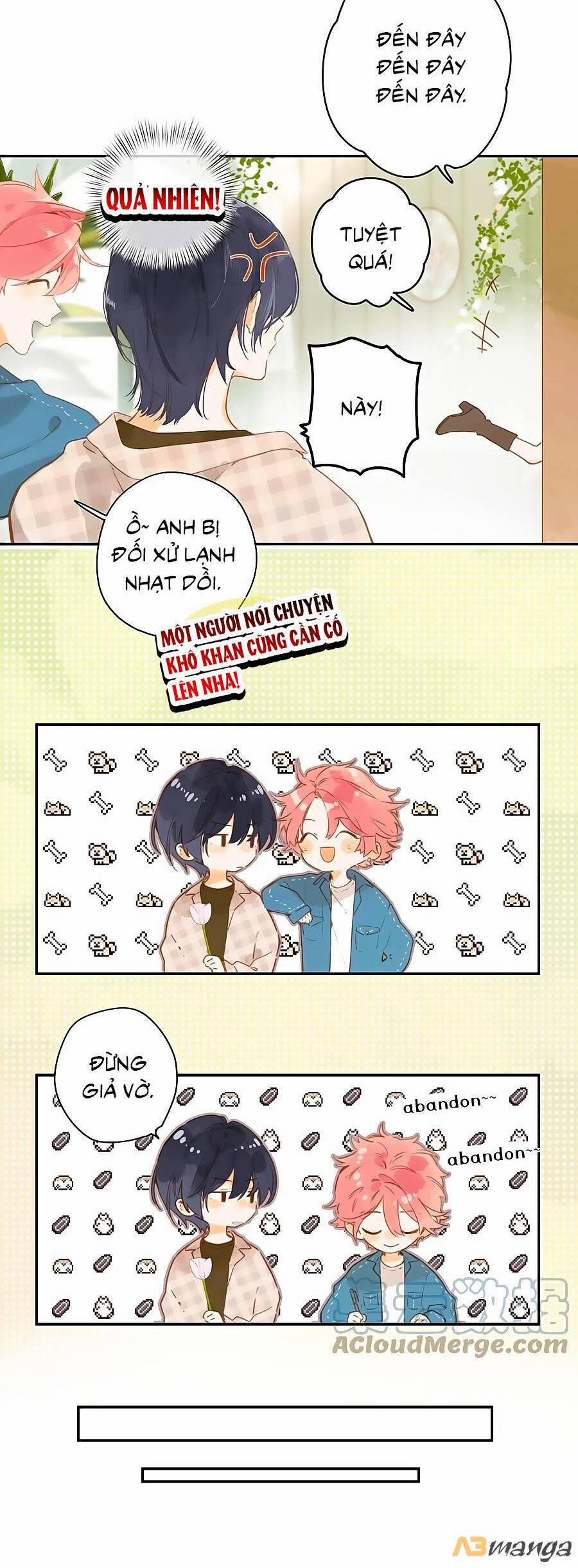 Ngôi Nhà Hướng Dương 52 trang 11