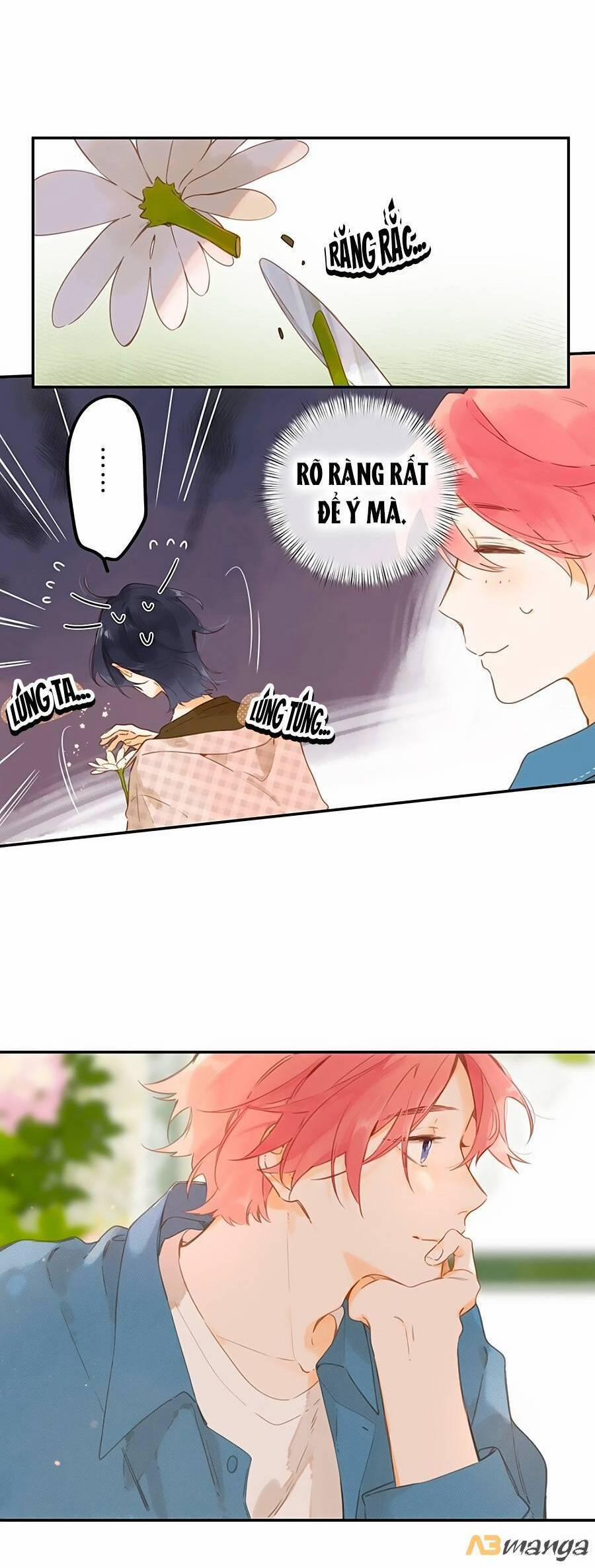 Ngôi Nhà Hướng Dương 53 trang 5