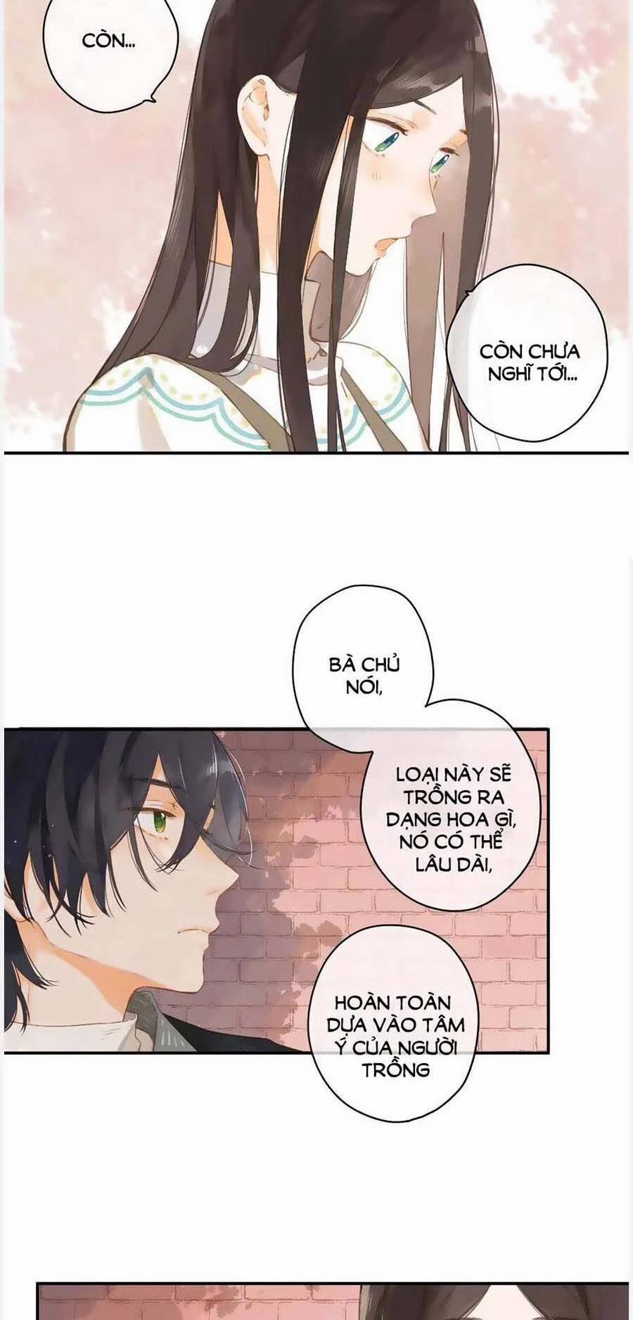 Ngôi Nhà Hướng Dương 54 trang 14