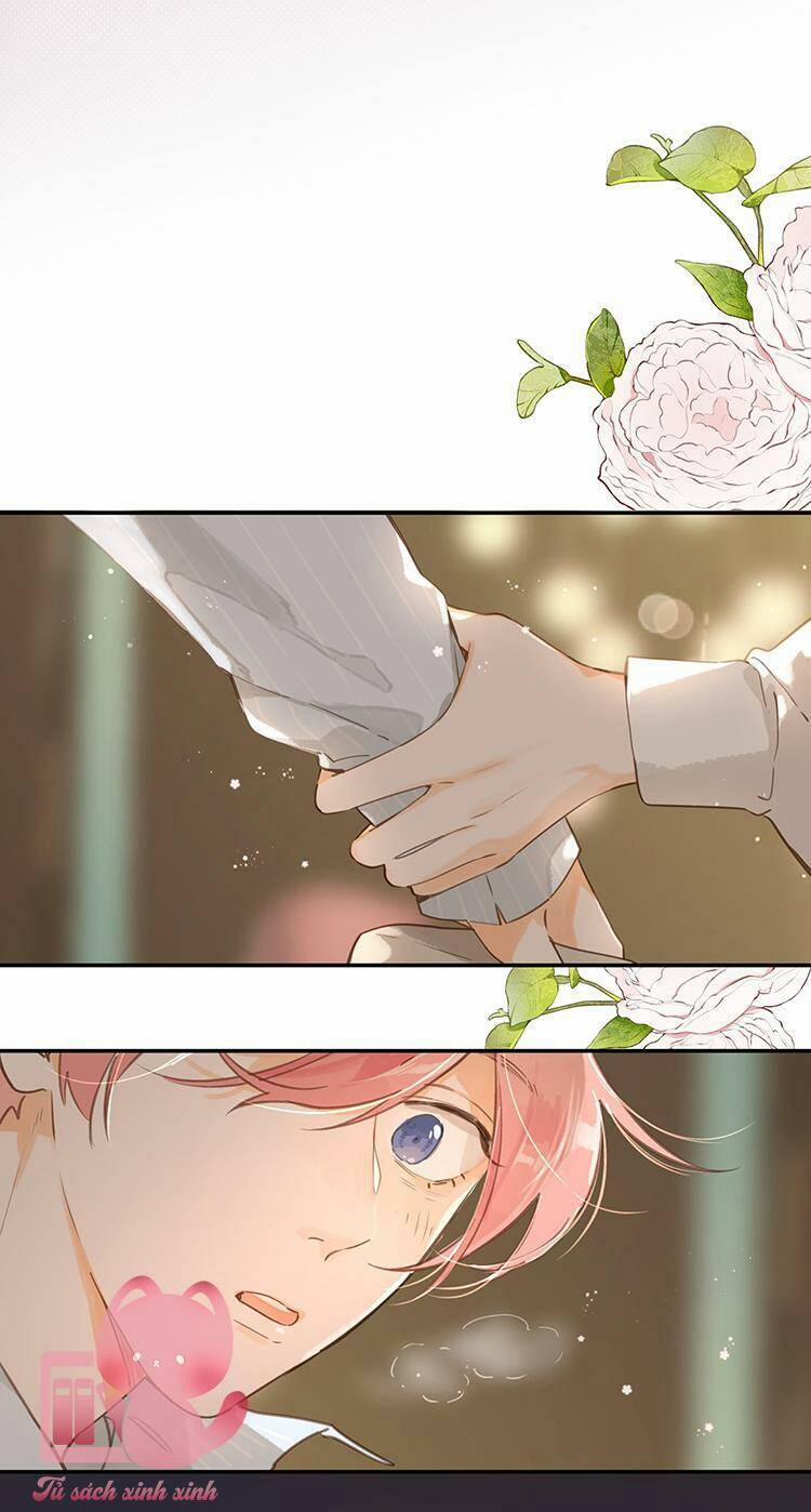 Ngôi Nhà Hướng Dương 56 trang 17