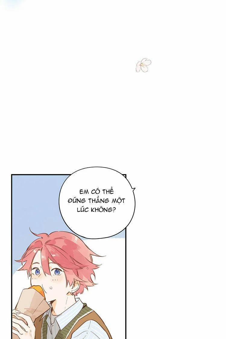 Ngôi Nhà Hướng Dương 56 trang 33